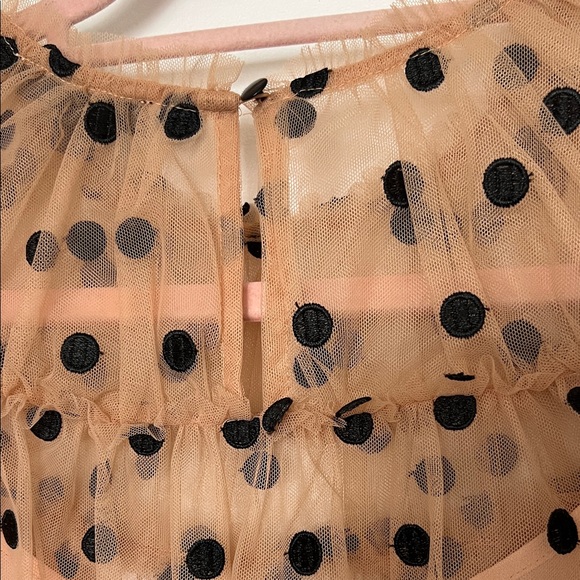 J. Crew Sheer Blouse with Black Polka Dots - Tan - Picture 5 of 6